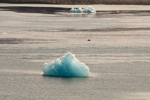 315-9020 Iceberg